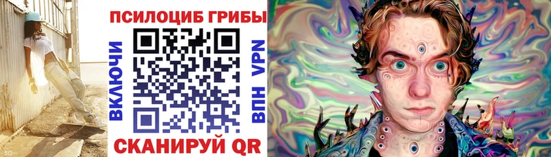 ОМГ ОМГ ONION  Пучеж  Псилоцибиновые грибы Psilocybe 